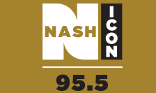 nash icon